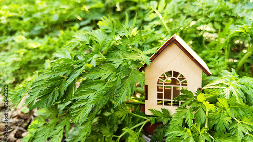 miniature toy house in grass close up, spring natural background. symbol of family. mortgage, construction, rental, property concept. Eco Friendly home. Blurred and selective focus © keleny