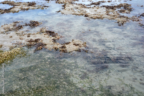 Coral Coast. Egypt. Red Sea