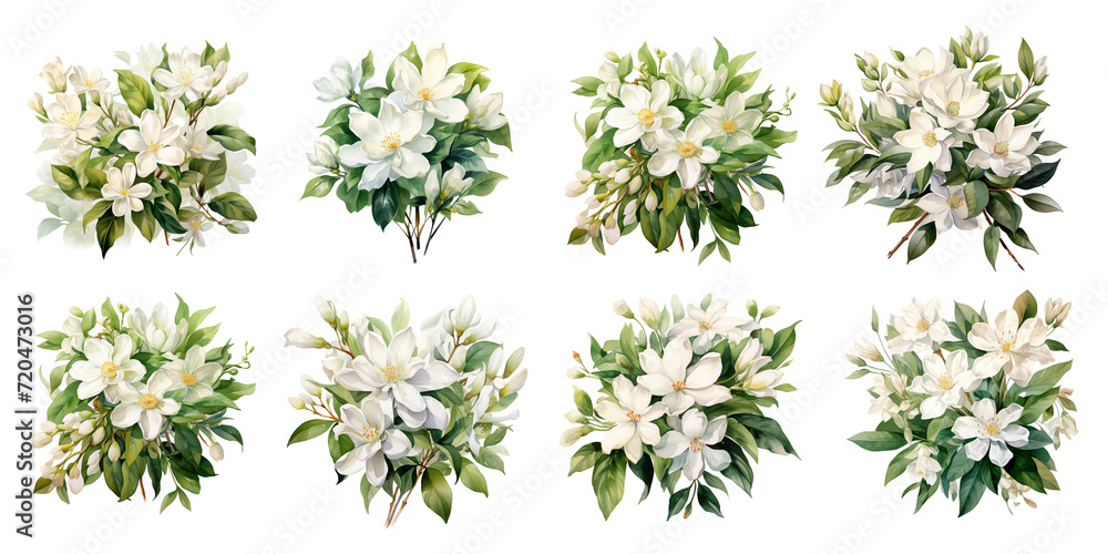 White jasmine flowers painted with watercolors - obrazy, fototapety, plakaty 