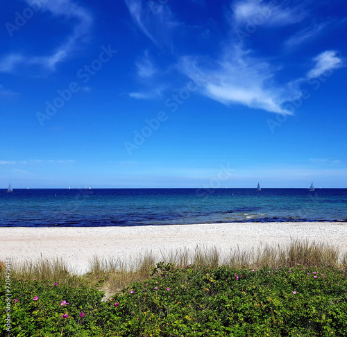 K  ste  images  dune beach  sea  beach  sky  landscape  water  sand  grass  summer  nature  clouds  coast  horizon  dunes  blue  cloud  travel