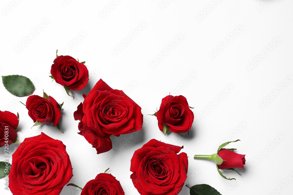 Beautiful red roses on white background, flat lay. Space for text Beautiful red roses on white background, flat lay. Space for text