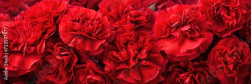 abstract background red carnations
