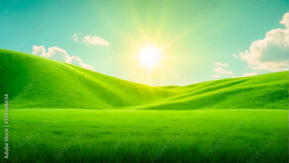 Beautiful panoramic natural landscape of a green field with grass against a blue sky with sun. Background of a summer landscape
