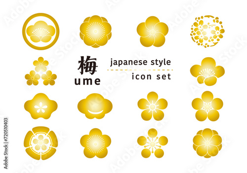 梅紋セット　金