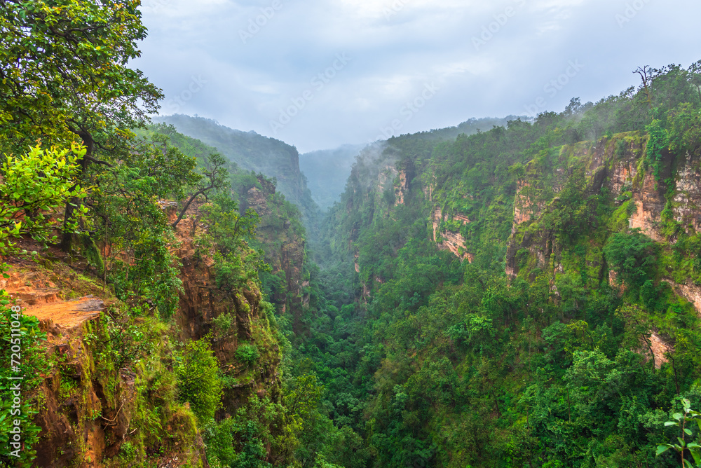 Fototapeta premium Enveloped in dense forest having medicinal plants and wriggling water streams, Handi Khoh is a horse-shoe shaped ravine valley having sheer drop of 100m in Pachmarchi, Madhya Pradesh, India.