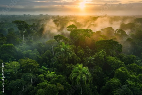 Stunning Aerial View Of Lush Amazon Forest At Dusk, Inviting You To Explore