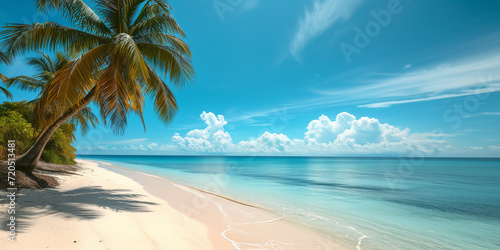 Tropical beach with coconut trees and sky © AhmadSoleh
