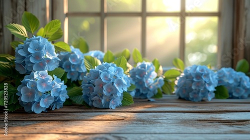 Fototapeta Naklejka Na Ścianę i Meble -  A collection of blue hydrangea flowers arranged on top of a wooden table.