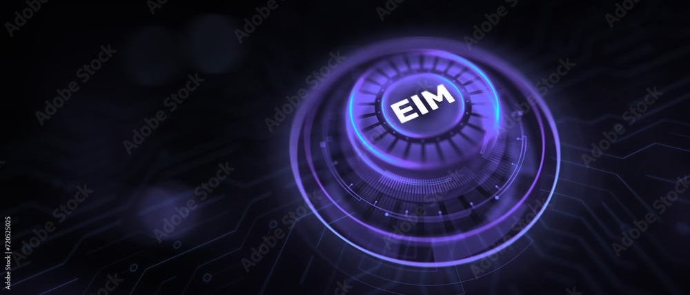 EIM Enterprise Information management business and technology concept illustration.