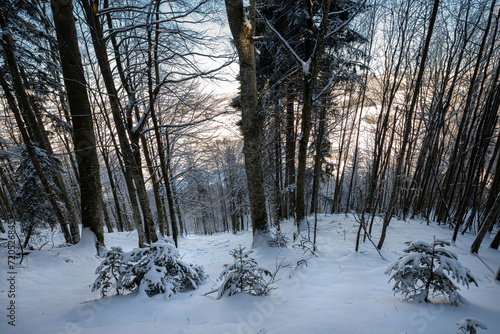 Winterlandschaft in den Bergen
