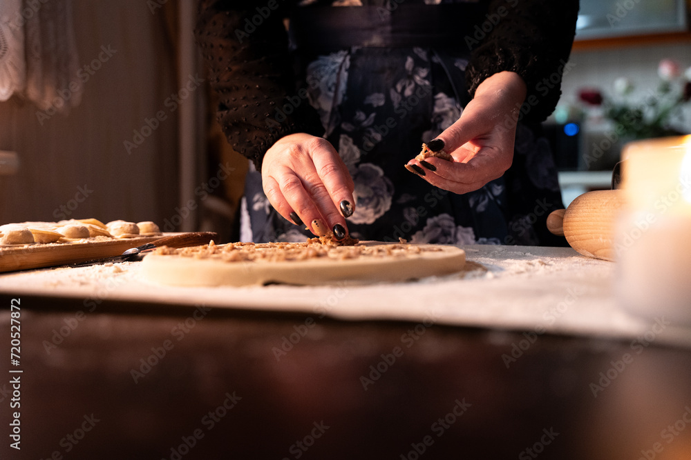 view of homemade freshly prepared dumplings at home view of homemade freshly prepared dumplings at home