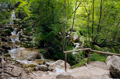 Wanderweg im Naturreservat 