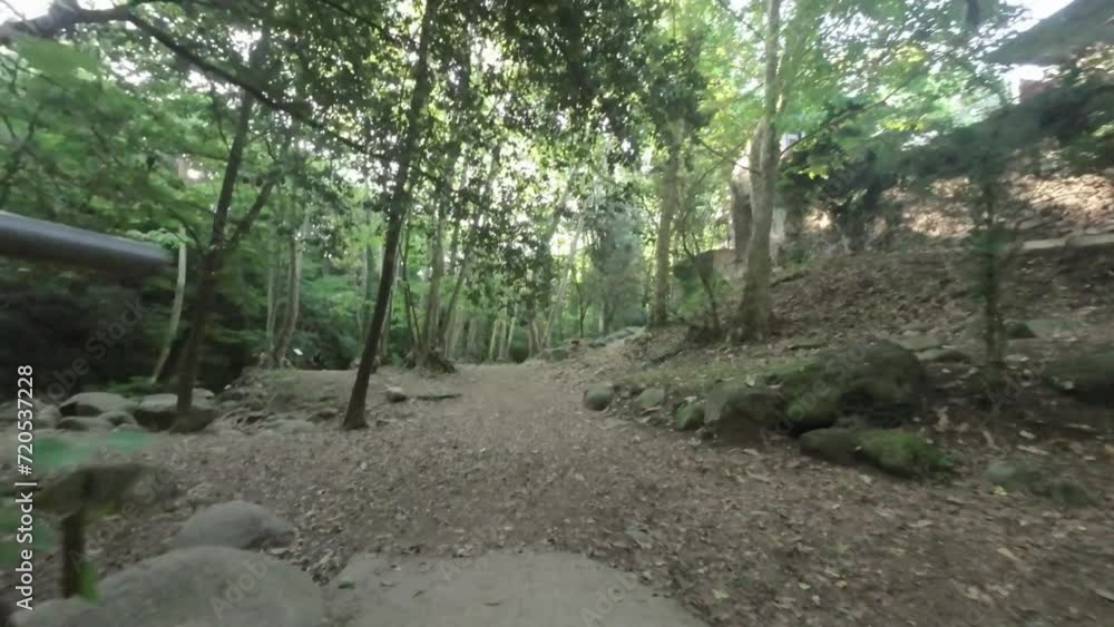 FPV drone through the forest over the bridge and hiking trail FPV drone through the forest over the bridge and hiking trail