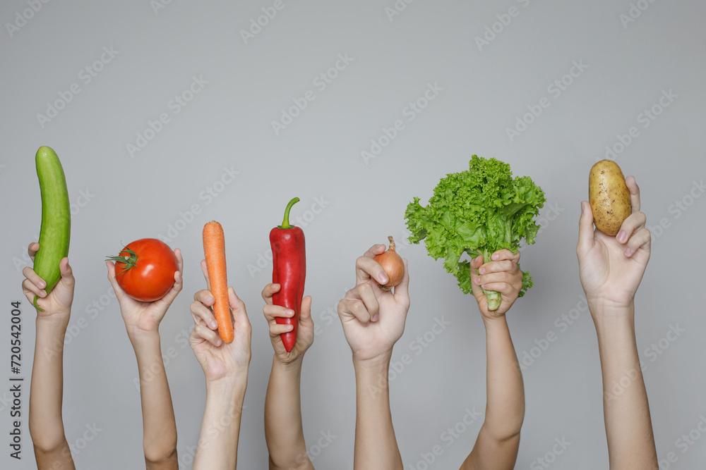 Hands with fresh vegetables isolated on gray background. Organic food and healthy eating concept - obrazy, fototapety, plakaty 