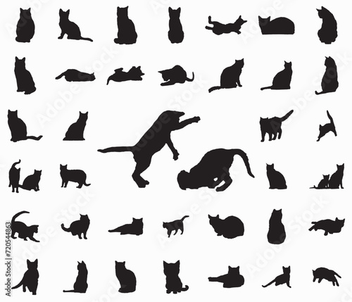 cat set Black sill silhouette on white background