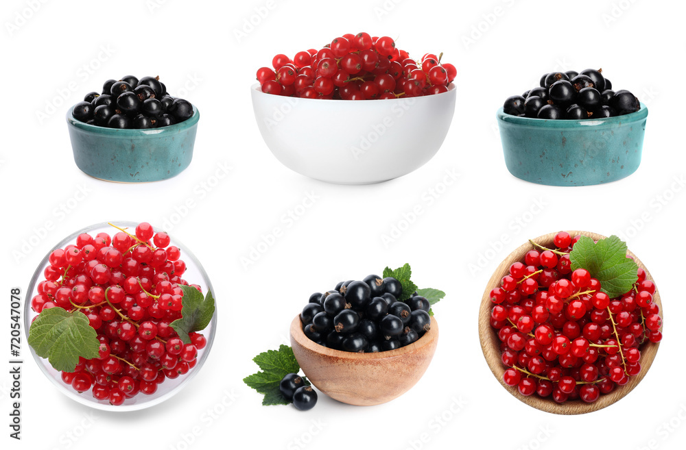 Fresh red and black currants in bowls on white background, collection Fresh red and black currants in bowls on white background, collection