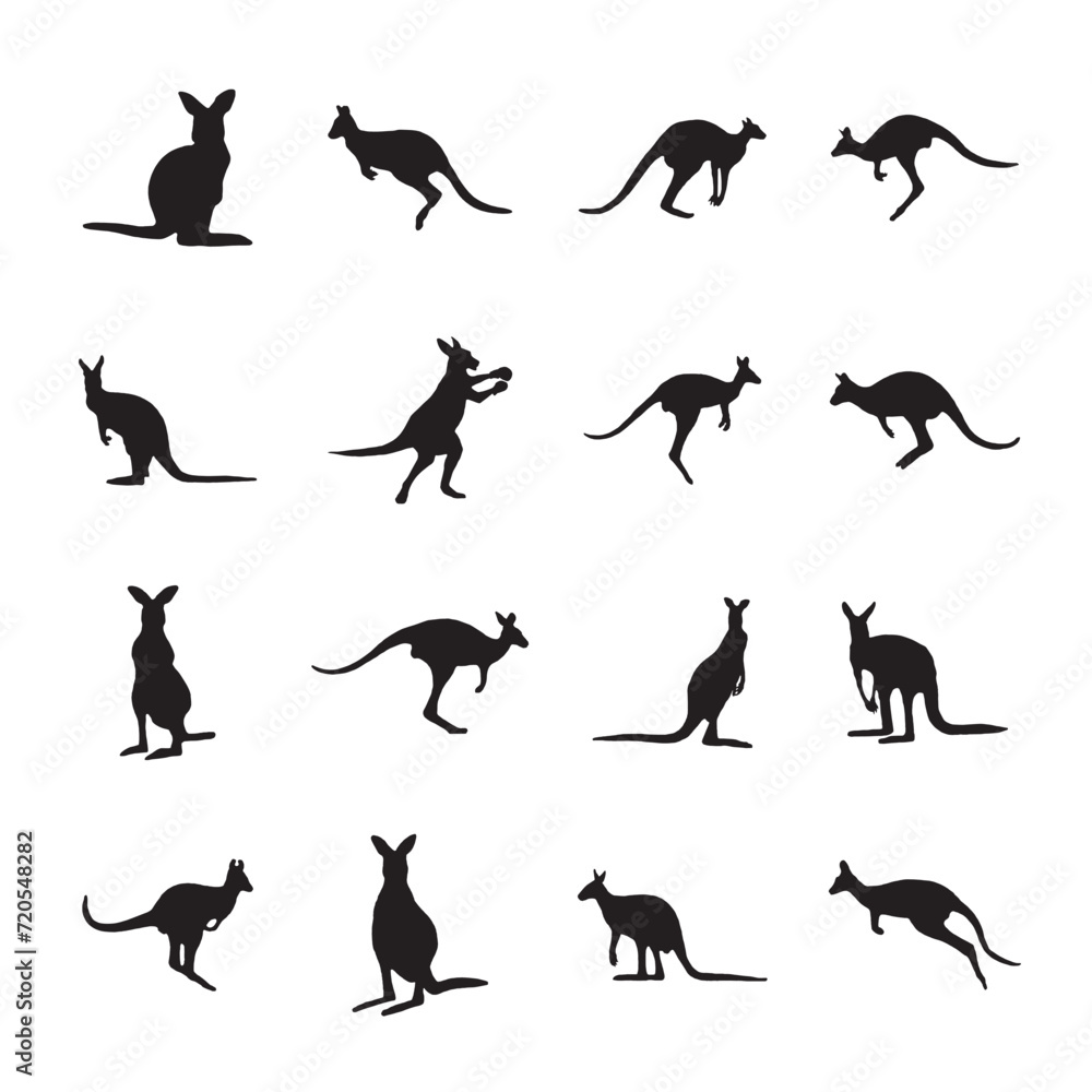 Set silhouettes of kangaroo, different poses, black color, isolated on white background. Lies, stands, sits, jumps. Vector realistic illustrations