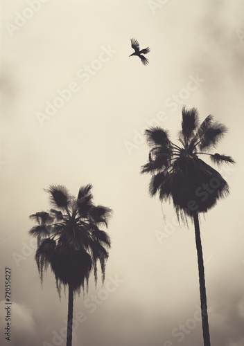 Aerial View of Palm Trees and Birds: Urban Jungle