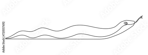 Snake one line art,hand drawn continuous drawing contour,symbol of new year 2025.Poisonous reptile serpent outline,wildlife nature concept.Editable stroke.Isolated.Vector illustration