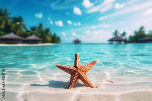 A starfish on the seashore on a blurred background of a bungalow in the Maldives. vacation at a tropical resort. summer calm nature without people.