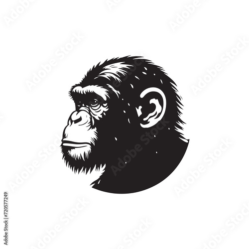Dynamic Jungle Dwellers: A Diverse Collection of Chimpanzee Silhouettes in Their Natural Habitat - Chimpanzee Silhouette - Chimpanzee Illustration - Chimpanzee Vector
