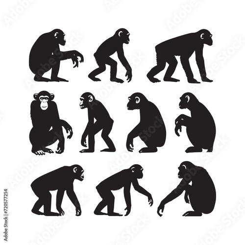 Jungle Ballet: Graceful Chimpanzee Silhouettes Dancing Through the Canopy - Chimpanzee Illustration - Chimpanzee Vector
