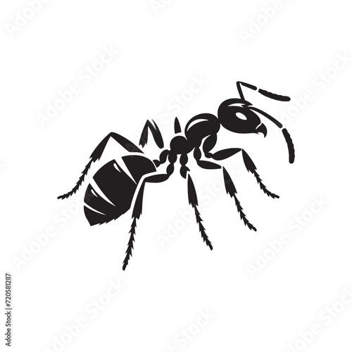 Miniature Marvels: Ant Silhouette Set Displaying the Exquisite Details of Nature's Little Wonders - Ant Illustration - Insect Silhouette - Ant Vector
