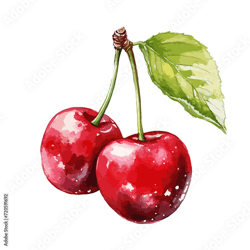 Design of two red cherries with leaves and stems, isolated on white background. Illustrated. Vector. Watercolo photo