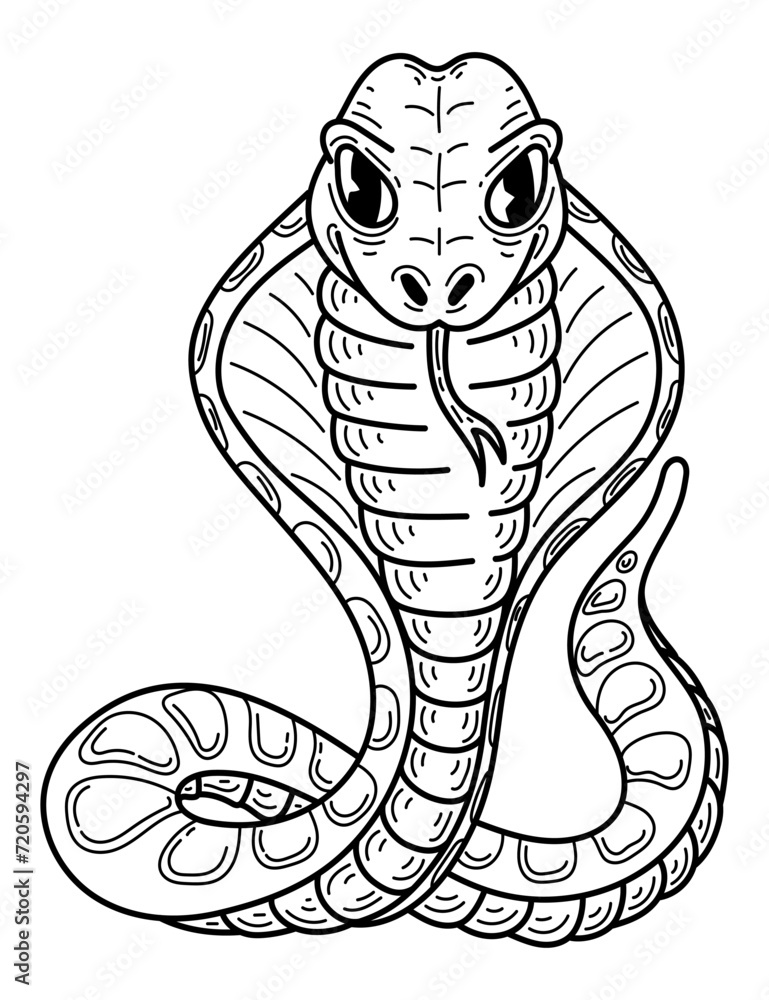 Fototapeta premium Snake cobra sketch. Hand drawn line art illustration.
