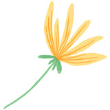 Nature Floral Yellow Hand Drawn Illustration for cute decoration