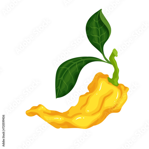 Ripe pod of yellow hot chili pepper. Vector graphics.