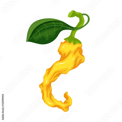 Ripe pod of yellow hot chili pepper. Vector graphics.