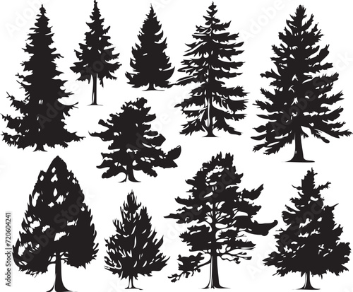 Conifer set.  Hand drawn vector illustration