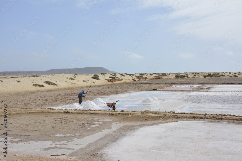 Man harvesting salt from salina near Santa Maria on Sal Island in Cape Verde Man harvesting salt from salina near Santa Maria on Sal Island in Cape Verde