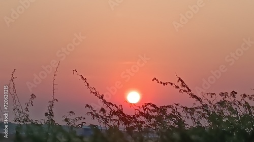 Konstfotografi sunset in the field