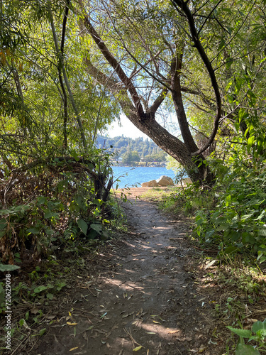 Lake Gregory view through trees