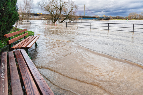 Hochwasser am Bonner Rheinufer erzwingt die Änderung von Gewohnheiten photo