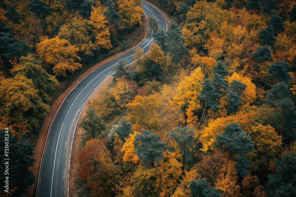 Naklejka premium High angle view of a road through an autumn forest