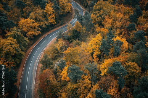 High angle view of a road through an autumn forest