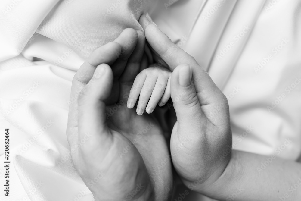 The palm of a newborn in the hands of the parents. The palm of mom and dad. Black and white photo. The palm of a newborn in the hands of the parents. The palm of mom and dad. Black and white photo.