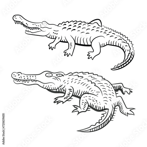vector cute crocodile outline design isolated