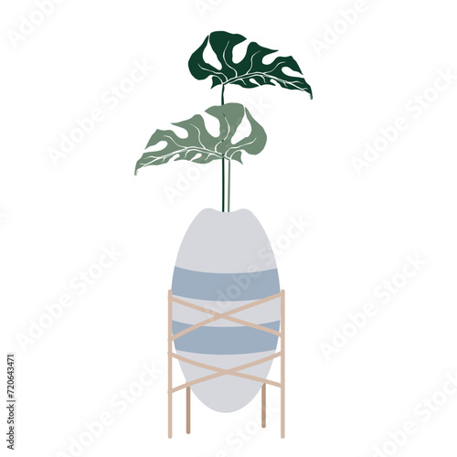 Tropical monstera leaves in flowerpots on stands.Vector graphics.