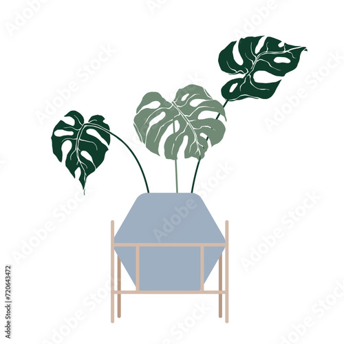 Tropical monstera leaves in flowerpots on stands.Vector graphics.
