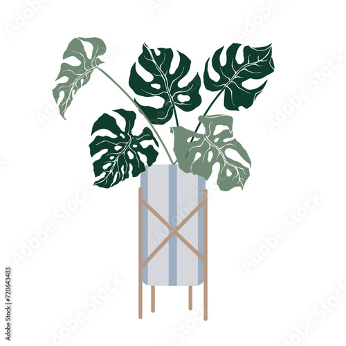 Tropical monstera leaves in flowerpots on stands.Vector graphics.