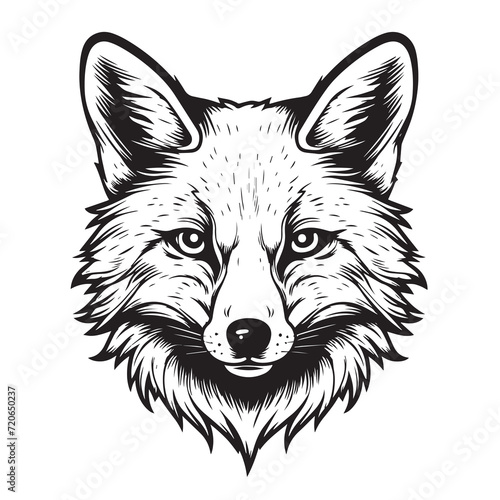 Fox head animal sketch hand drawn Vector illustration Wild animal