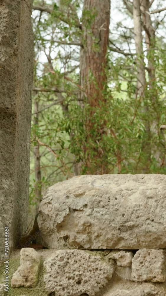 Vertical video. The ruins of the ancient city of Phaselis in ancient Lycia. I climb the steps to the entrance of a ruined house and read the carved inscription in the ancient language. Vertical video. The ruins of the ancient city of Phaselis in ancient Lycia. I climb the steps to the entrance of a ruined house and read the carved inscription in the ancient language.
