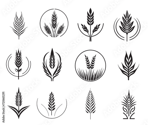 Wheat set of symbols and signs. Ears icon set, hand drawn. Vector outline linear style