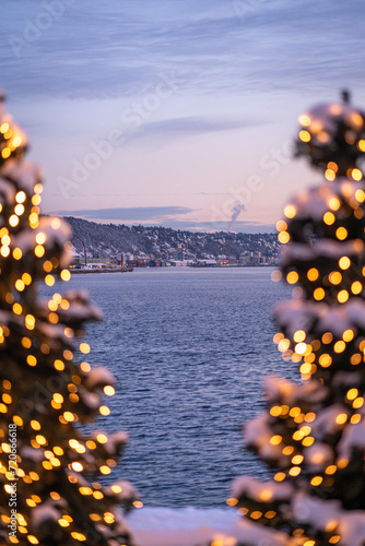 christmas trees in oslo norway akker brygge on a cold snowy december afternoon with the view over the fjords photo