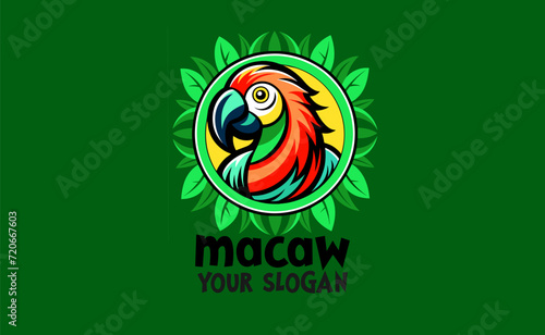 Vintage Macaw Bird logo design template, natural logo vector icon, premium vector logo