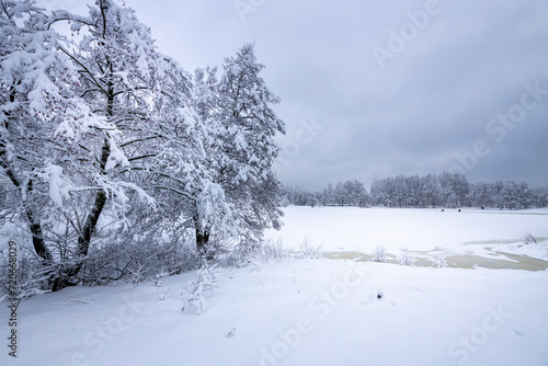 Snow-covered trees near a frozen river, winter landscape © Sergei
